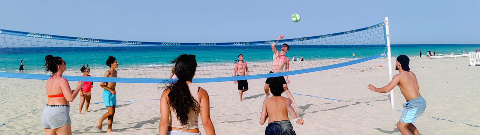 Анимация &  отдых